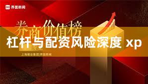 杠杆与配资风险深度 xp